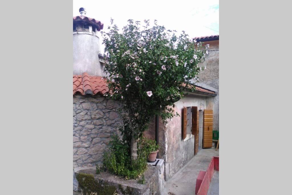 Vacation Home Marinici Mošćenička Draga Exteriér fotografie